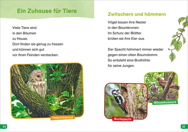 Abbildung 5 von WAS IST WAS Erstes Lesen easy! Band 1. Entdecke die Bäume