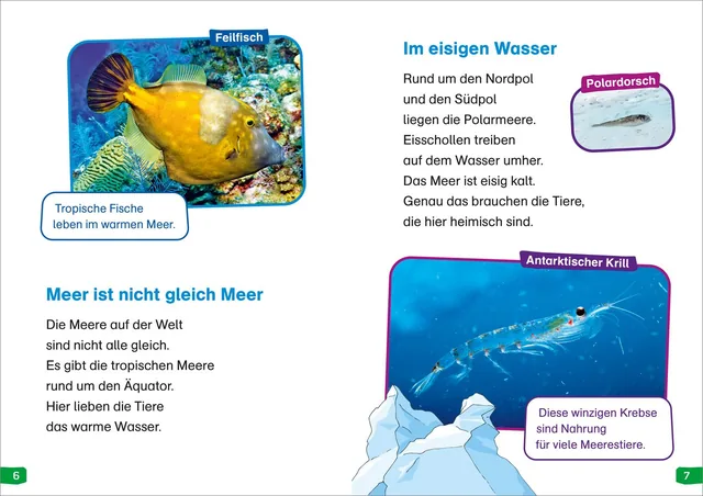 Abbildung 1 von WAS IST WAS Erstes Lesen easy! Band 2. Tiere im Meer