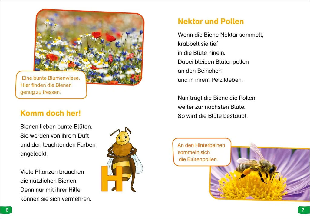 Abbildung 1 von WAS IST WAS Erstes Lesen easy! Band 3. Wie lebt die Honigbiene?