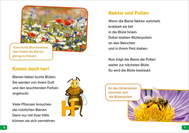 Abbildung 1 von WAS IST WAS Erstes Lesen easy! Band 3. Wie lebt die Honigbiene?