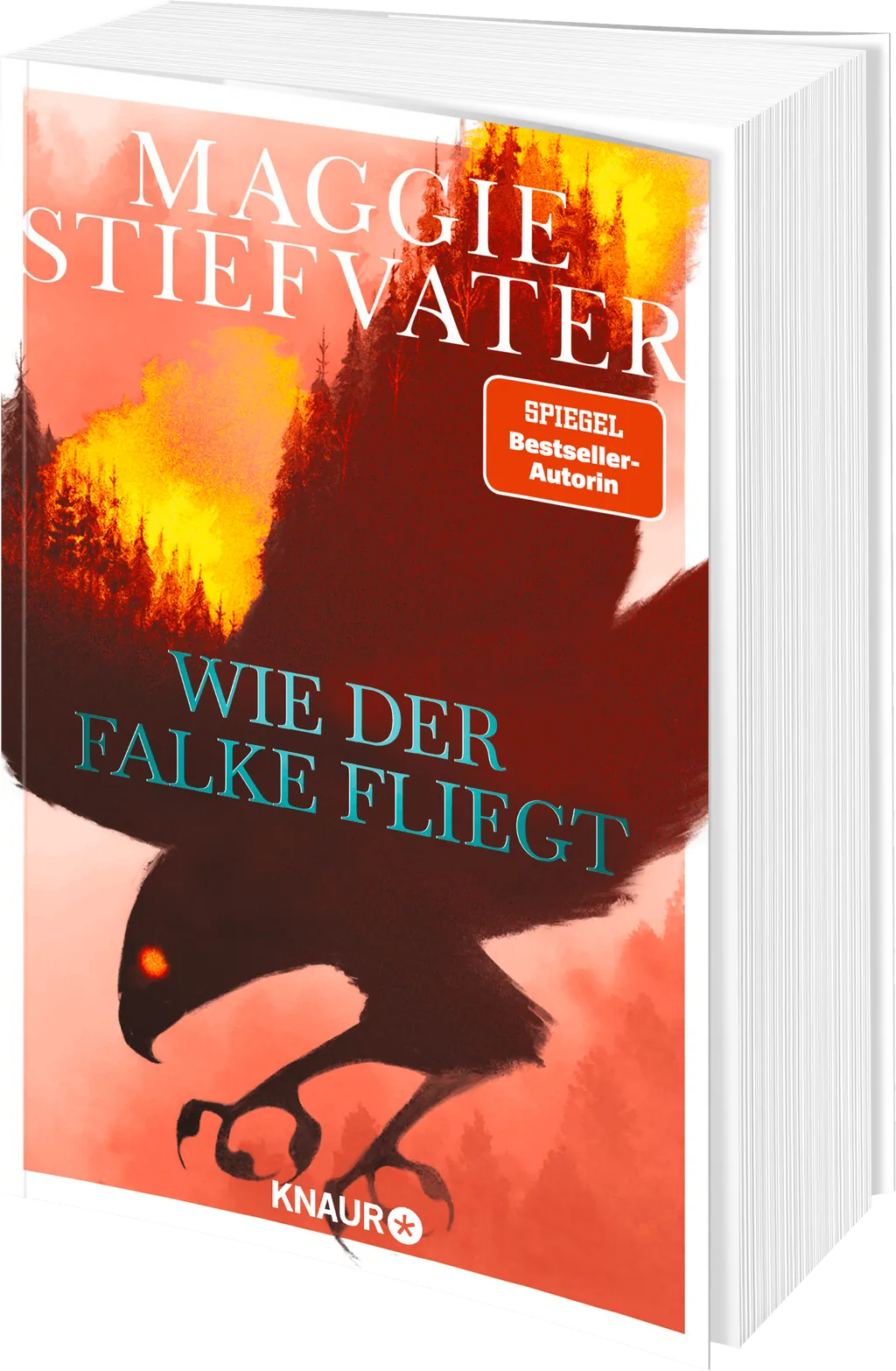 Coverabbildung 1 von Wie der Falke fliegt