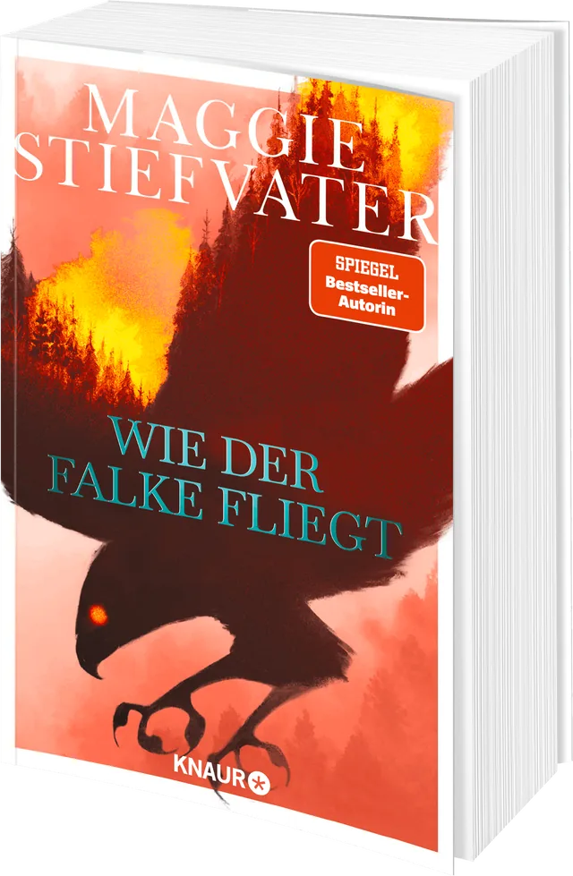 Coverabbildung 1 von Wie der Falke fliegt