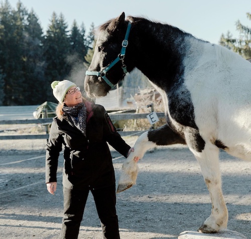 Nicola Förg mit Pferd Beitragsbild