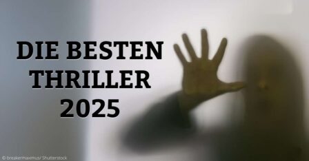 Beste Thriller 2025