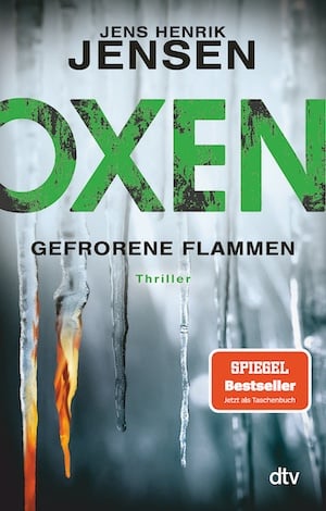 Buchcover von „Gefrorene Flammen“