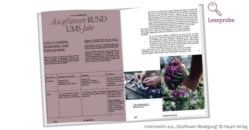 Auspflanzen und ums Jahr - Slowflower-Bewegung