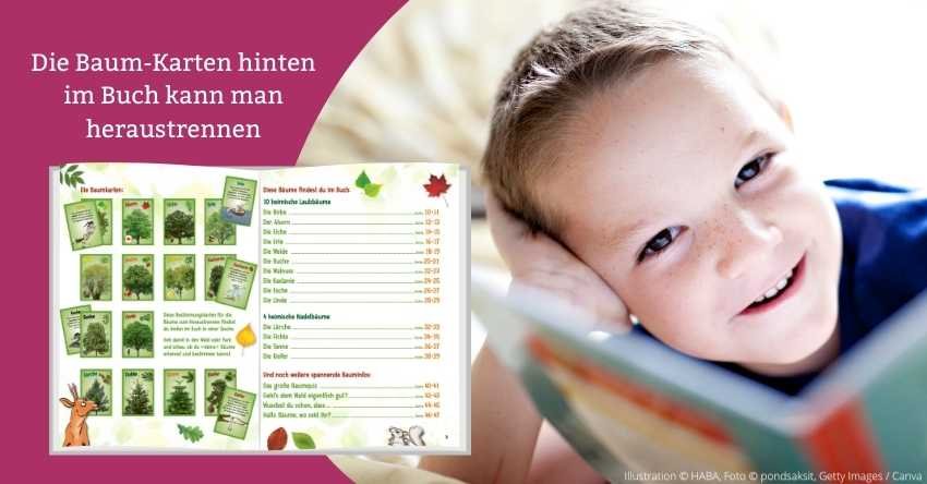 Baumkarten – Jetzt verstehe ich die Bäume