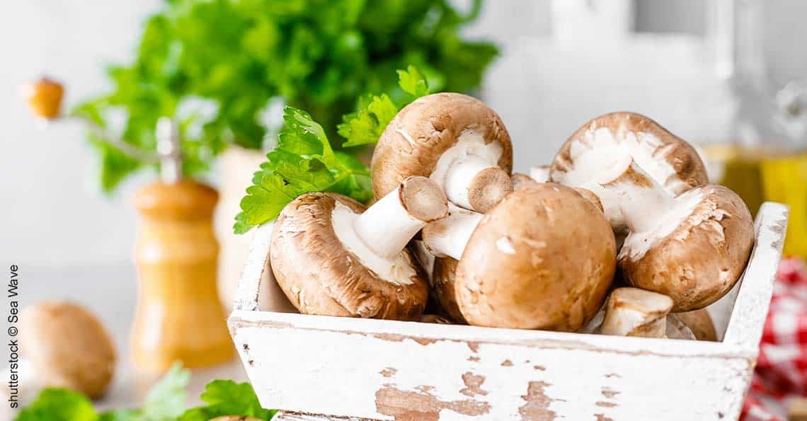 Rezept Champignonsalat
