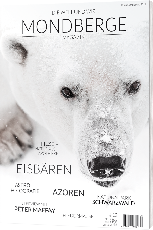 Mondberge Magazin