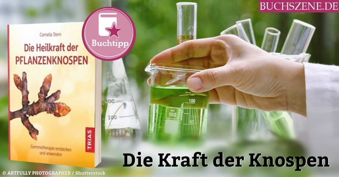 Die Kraft der Knospen