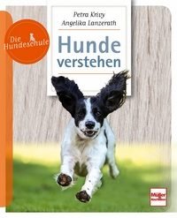 hunde-verstehen-–-die-hundeschule-e1548874792598
