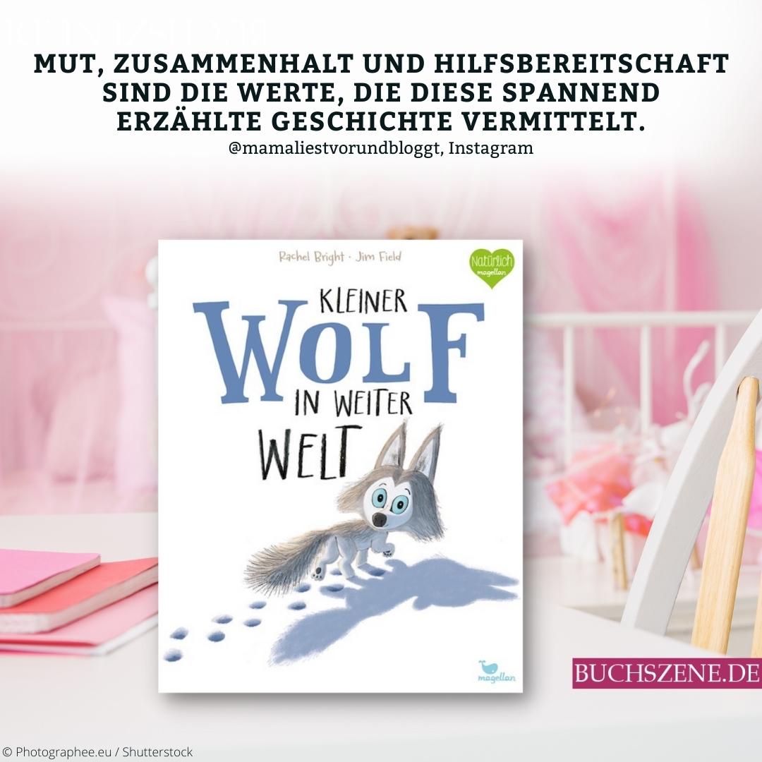 Kleiner Wolf in weiter Welt
