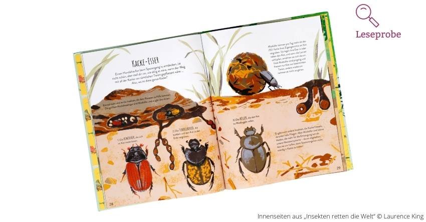 Leseprobe Insekten retten die Welt