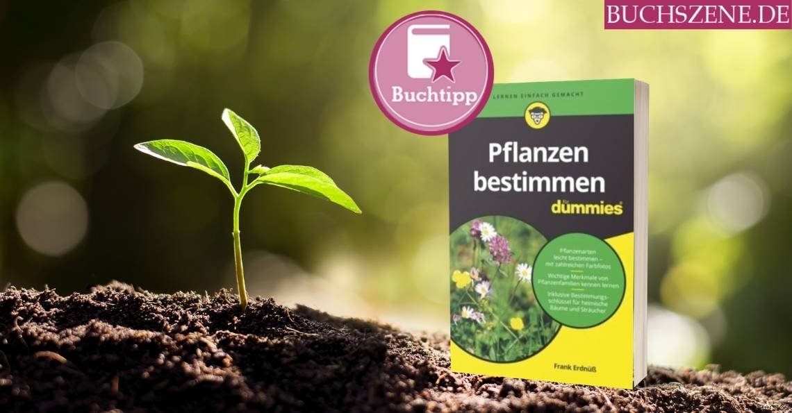 Pflanzen bestimmen für Dummies Beitragsbild