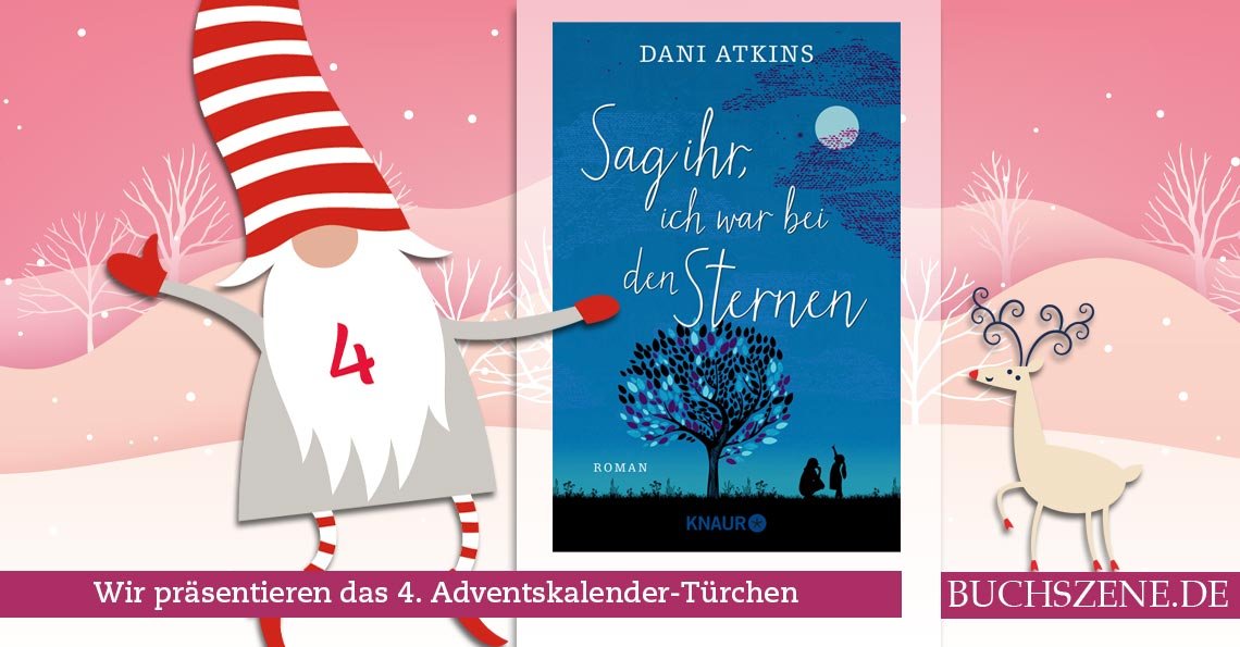 Sag ihr ich war bei den Sternen Adventskalender