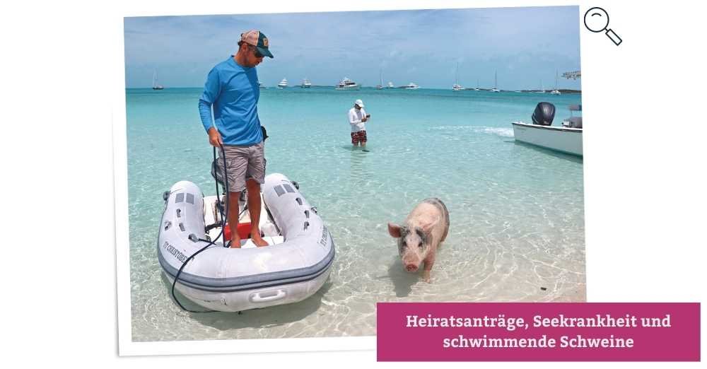 Heiratsanträge, Seekrankheit und schwimmende Schweine