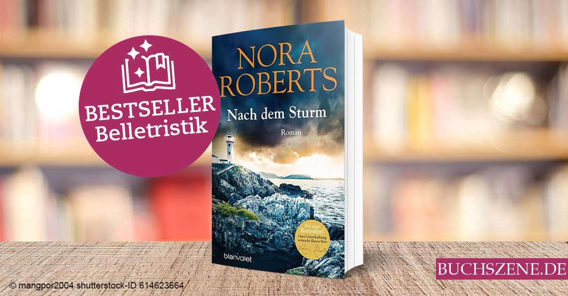 Titelbild Bestseller Belletristik Nach dem Sturm