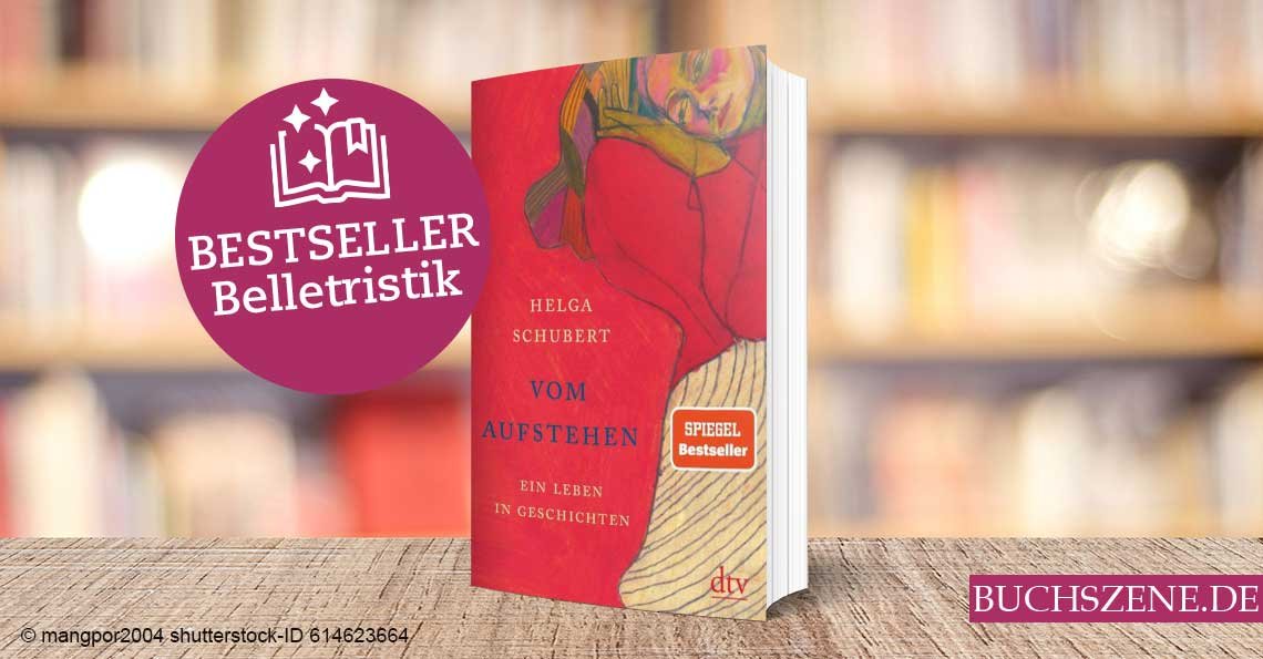 Titelbild Bestseller Belletristik Vom Aufstehen