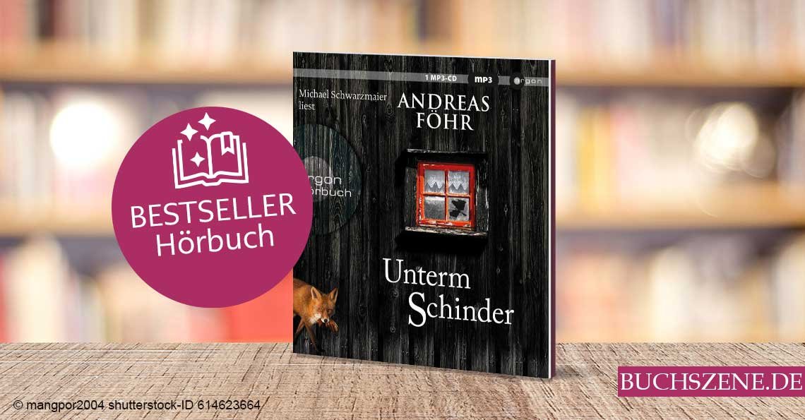 Titelbild Bestseller Hörbuch Unterm Schinder