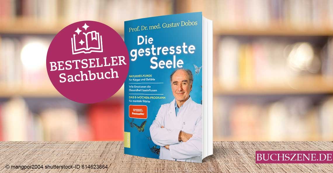Titelbild Bestseller Sachbuch Die gestresste Seele