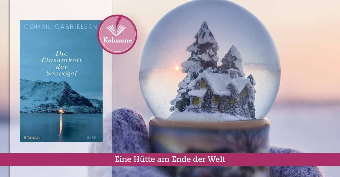 Titelbild Die Einsamkeit der Seevögel