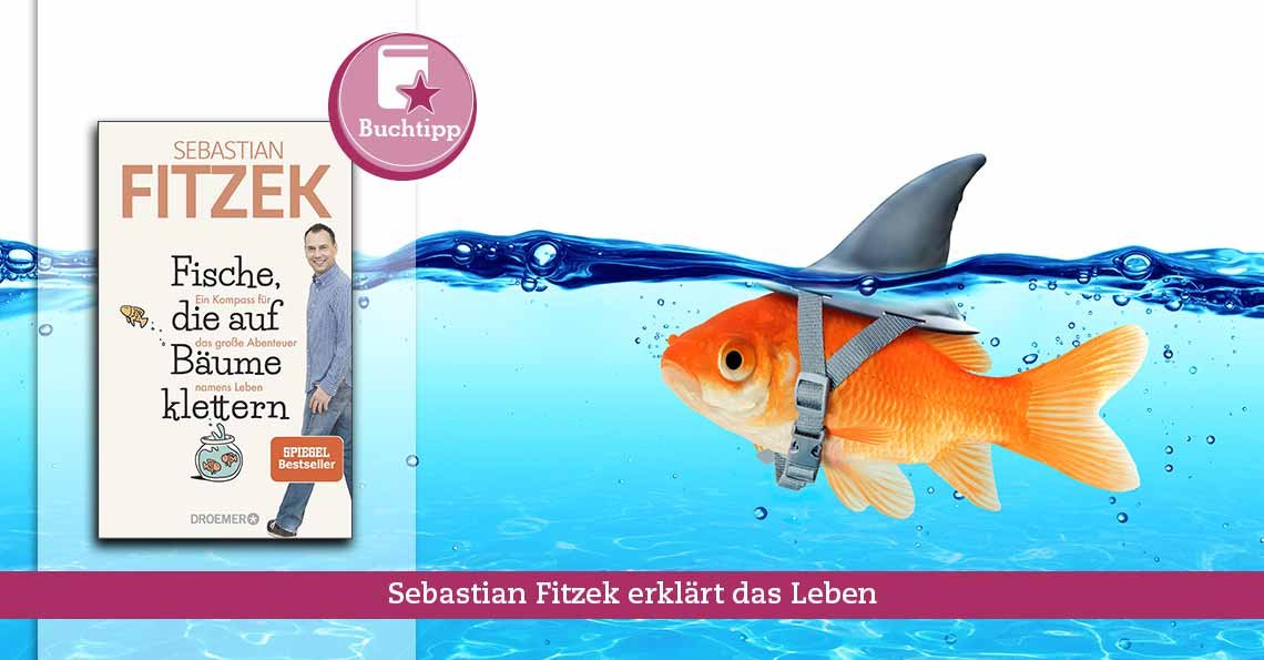 Titelbild Fische die auf Bäume klettern Buchtipp