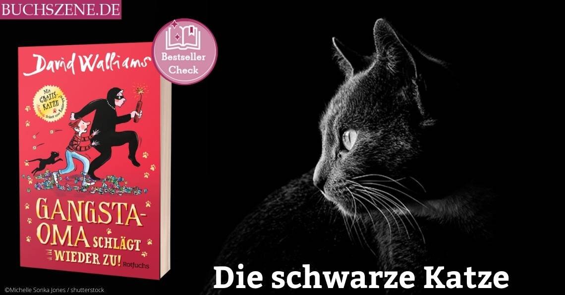 Titelbild Gangsta-Oma schlägt wieder zu