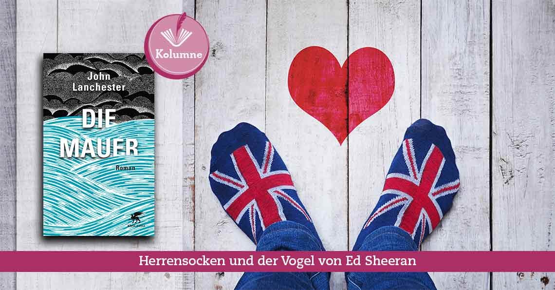 Titelbild Steinleitners Woche Brexit