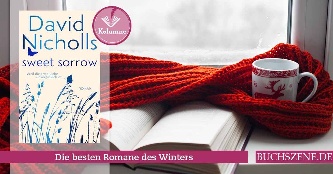 Titelbild Steinleitners Woche Winterromane