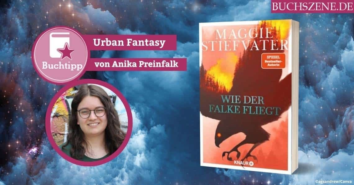 Wie der Falke fliegt Urban Fantasy