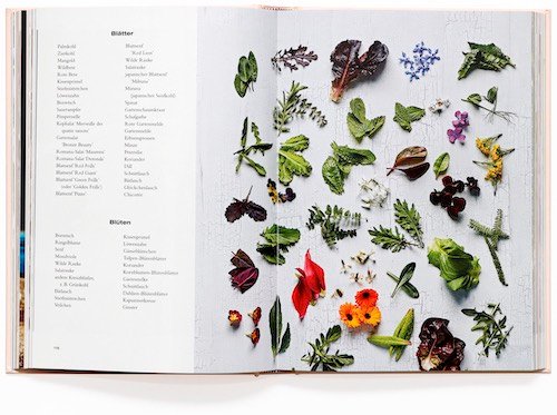 Essbare Blüten Innenseiten 4
