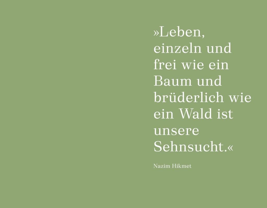 Unter Bäumen Innenansicht 1