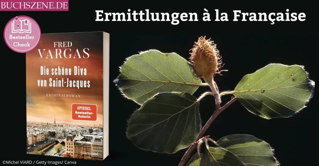 Die schöne Diva von Saint-Jacques Bestseller-Check