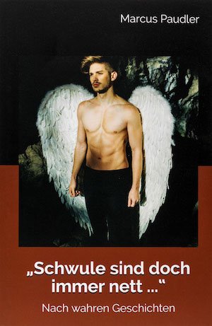 Cover von Schwule sind doch immer nett …